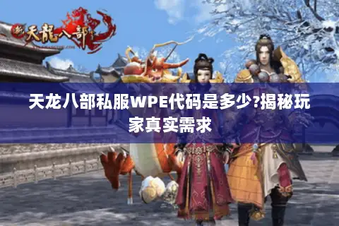 天龙八部私服WPE代码是多少?揭秘玩家真实需求