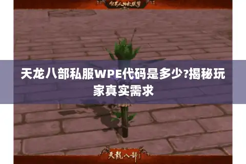 天龙八部私服WPE代码是多少?揭秘玩家真实需求