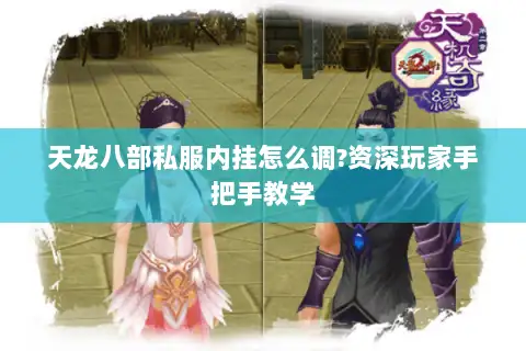 天龙八部私服内挂怎么调?资深玩家手把手教学 天龙八部私服内挂怎么调?资深玩家手把手教学