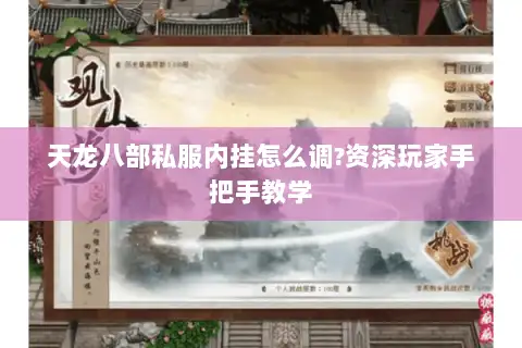 天龙八部私服内挂怎么调?资深玩家手把手教学 天龙八部私服内挂怎么调?资深玩家手把手教学