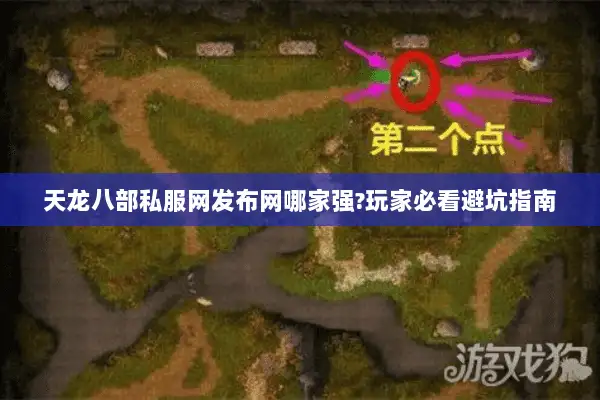 天龙八部私服网发布网哪家强?玩家必看避坑指南