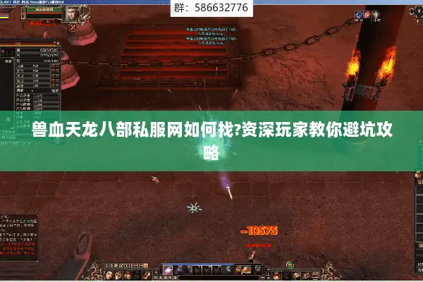 兽血天龙八部私服网如何找?资深玩家教你避坑攻略