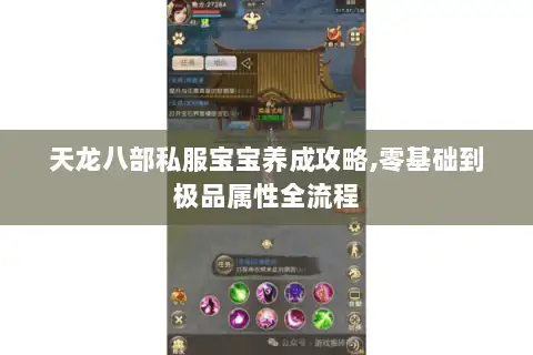 天龙八部私服宝宝养成攻略,零基础到极品属性全流程 天龙八部私服宝宝养成攻略,零基础到极品属性全流程