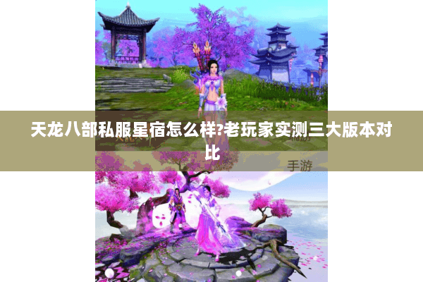 天龙八部私服星宿怎么样?老玩家实测三大版本对比 天龙八部私服星宿怎么样?老玩家实测三大版本对比