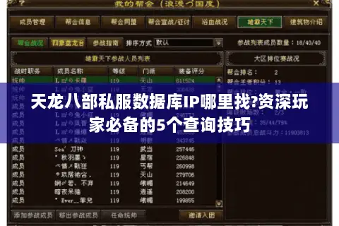天龙八部私服数据库IP哪里找?资深玩家必备的5个查询技巧