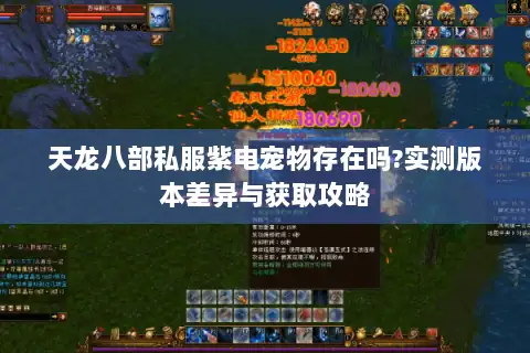 天龙八部私服紫电宠物存在吗?实测版本差异与获取攻略 天龙八部私服紫电宠物存在吗?实测版本差异与获取攻略