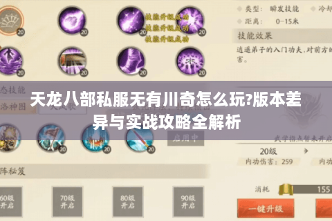 天龙八部私服无有川奇怎么玩?版本差异与实战攻略全解析