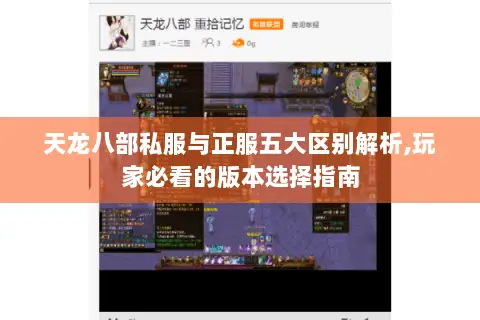 天龙八部私服与正服五大区别解析,玩家必看的版本选择指南