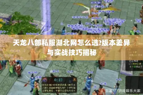 天龙八部私服湖北网怎么选?版本差异与实战技巧揭秘 天龙八部私服湖北网怎么选?版本差异与实战技巧揭秘