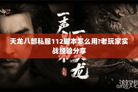 天龙八部私服112脚本怎么用?老玩家实战经验分享