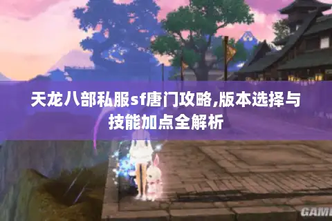 天龙八部私服sf唐门攻略,版本选择与技能加点全解析 天龙八部私服sf唐门攻略,版本选择与技能加点全解析