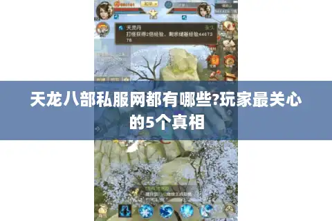 天龙八部私服网都有哪些?玩家最关心的5个真相