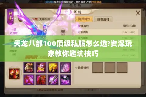 天龙八部100顶级私服怎么选?资深玩家教你避坑技巧