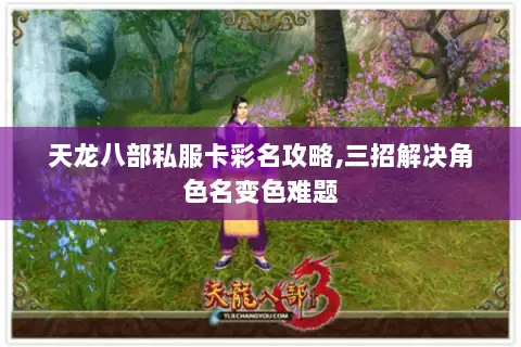 天龙八部私服卡彩名攻略,三招解决角色名变色难题