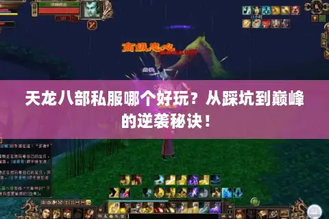 天龙八部私服哪个好玩？从踩坑到巅峰的逆袭秘诀！