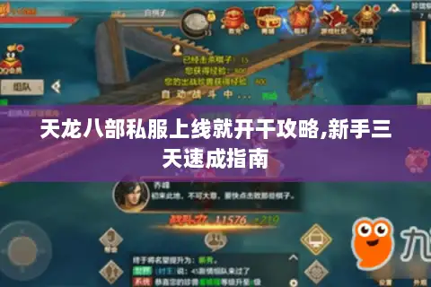 天龙八部私服上线就开干攻略,新手三天速成指南