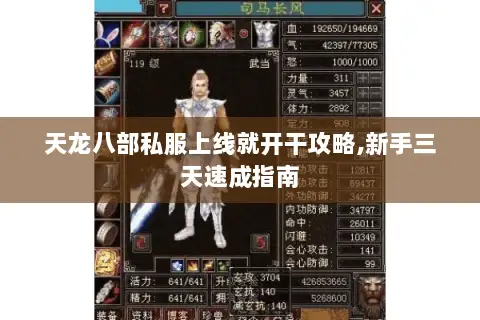 天龙八部私服上线就开干攻略,新手三天速成指南