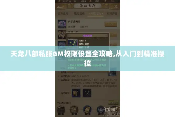 天龙八部私服GM权限设置全攻略,从入门到精准操控