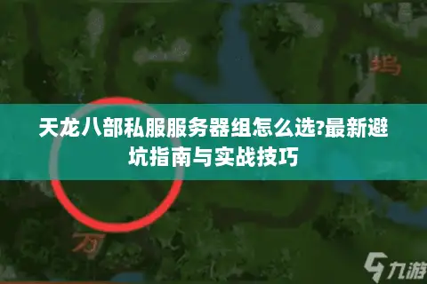 天龙八部私服服务器组怎么选?最新避坑指南与实战技巧