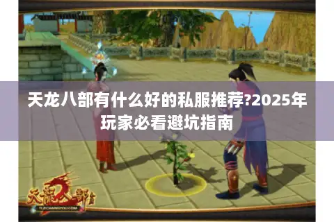 天龙八部有什么好的私服推荐?2025年玩家必看避坑指南 天龙八部有什么好的私服推荐?2025年玩家必看避坑指南
