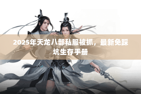 2025年天龙八部私服被抓，最新免踩坑生存手册