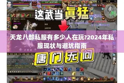 天龙八部私服有多少人在玩?2024年私服现状与避坑指南