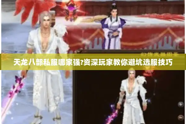 天龙八部私服哪家强?资深玩家教你避坑选服技巧 天龙八部私服哪家强?资深玩家教你避坑选服技巧