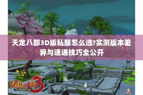 天龙八部3D版私服怎么选?实测版本差异与速通技巧全公开