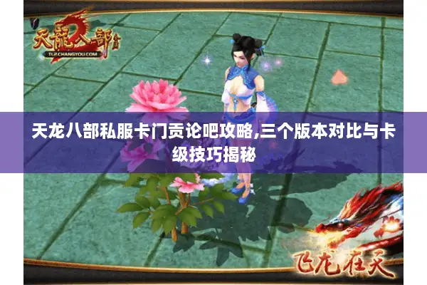 天龙八部私服卡门贡论吧攻略,三个版本对比与卡级技巧揭秘 天龙八部私服卡门贡论吧攻略,三个版本对比与卡级技巧揭秘