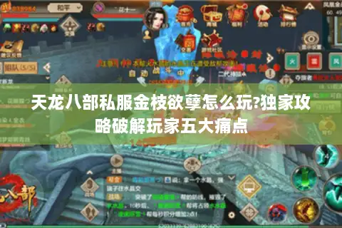 天龙八部私服金枝欲孽怎么玩?独家攻略破解玩家五大痛点 天龙八部私服金枝欲孽怎么玩?独家攻略破解玩家五大痛点