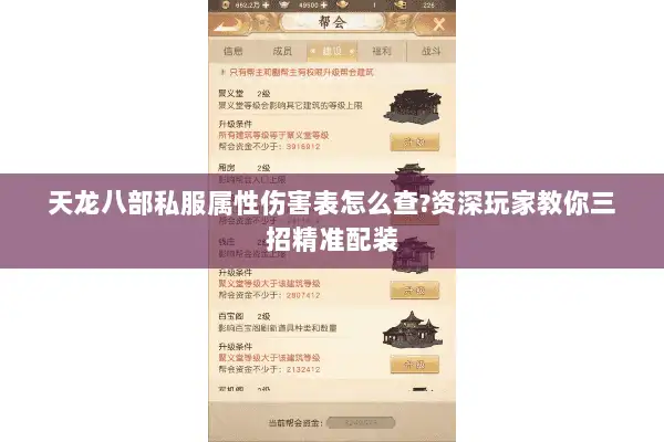 天龙八部私服属性伤害表怎么查?资深玩家教你三招精准配装 天龙八部私服属性伤害表怎么查?资深玩家教你三招精准配装