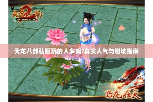 天龙八部私服玩的人多吗?真实人气与避坑指南 天龙八部私服玩的人多吗?真实人气与避坑指南