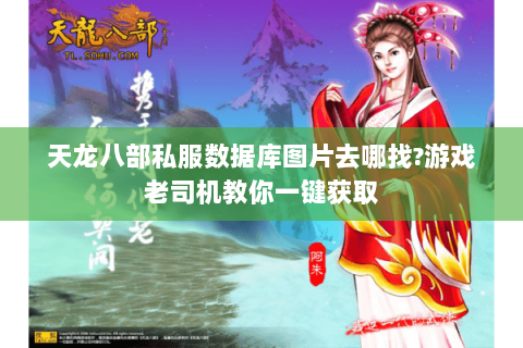 天龙八部私服数据库图片去哪找?游戏老司机教你一键获取