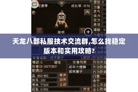 天龙八部私服技术交流群,怎么找稳定版本和实用攻略? 天龙八部私服技术交流群,怎么找稳定版本和实用攻略?