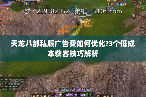 天龙八部私服广告费如何优化?3个低成本获客技巧解析