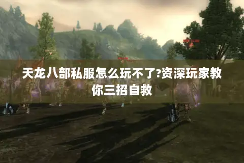 天龙八部私服怎么玩不了?资深玩家教你三招自救