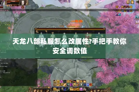 天龙八部私服怎么改属性?手把手教你安全调数值