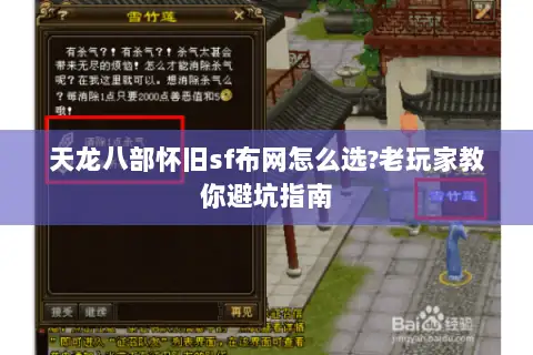 天龙八部怀旧sf布网怎么选?老玩家教你避坑指南 天龙八部怀旧sf布网怎么选?老玩家教你避坑指南