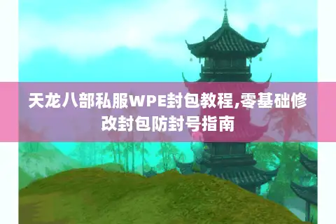 天龙八部私服WPE封包教程,零基础修改封包防封号指南 天龙八部私服WPE封包教程,零基础修改封包防封号指南