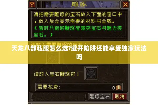 天龙八部私服怎么选?避开陷阱还能享受独家玩法吗