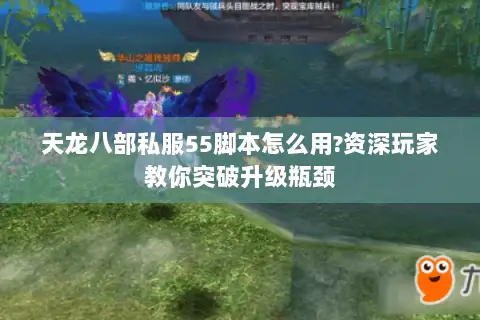 天龙八部私服55脚本怎么用?资深玩家教你突破升级瓶颈 天龙八部私服55脚本怎么用?资深玩家教你突破升级瓶颈