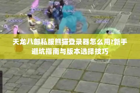 天龙八部私服熊猫登录器怎么用?新手避坑指南与版本选择技巧