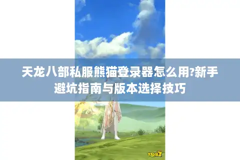 天龙八部私服熊猫登录器怎么用?新手避坑指南与版本选择技巧