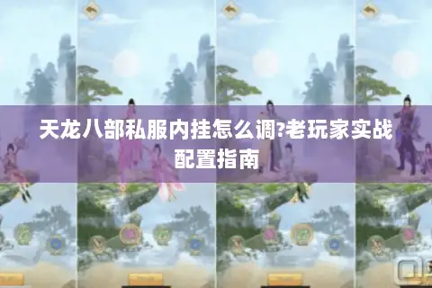 天龙八部私服内挂怎么调?老玩家实战配置指南