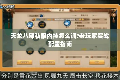 天龙八部私服内挂怎么调?老玩家实战配置指南