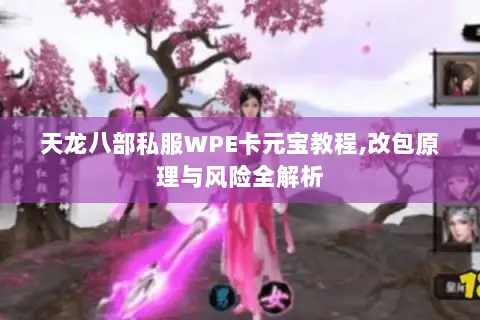 天龙八部私服WPE卡元宝教程,改包原理与风险全解析