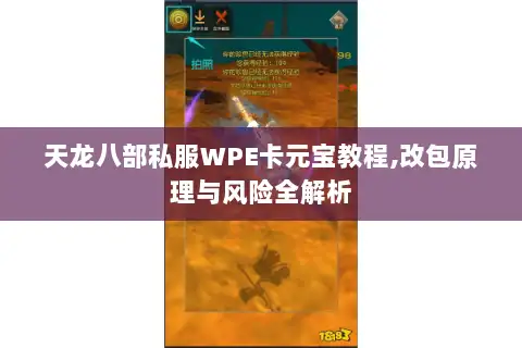 天龙八部私服WPE卡元宝教程,改包原理与风险全解析