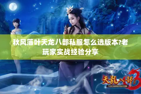 秋风落叶天龙八部私服怎么选版本?老玩家实战经验分享 秋风落叶天龙八部私服怎么选版本?老玩家实战经验分享