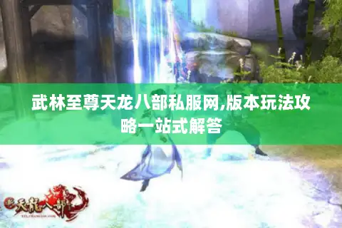 武林至尊天龙八部私服网,版本玩法攻略一站式解答