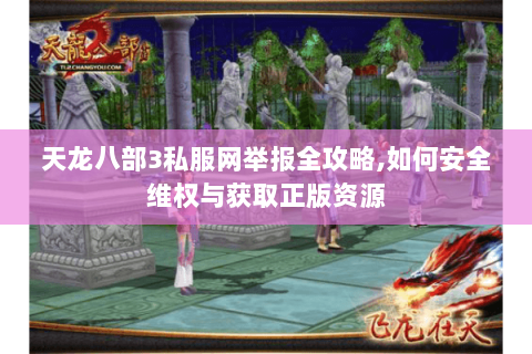天龙八部3私服网举报全攻略,如何安全维权与获取正版资源